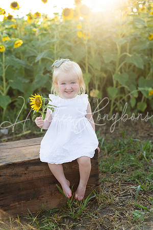 Sunflowers Harris-21