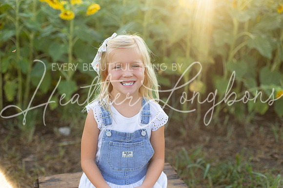 Sunflowers Harris-27