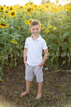 Sunflowers Harris-33