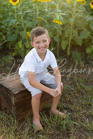 Sunflowers Harris-39