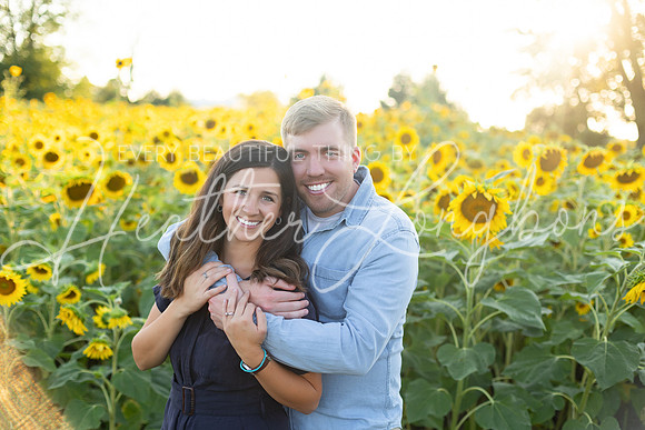 Sunflowers Harris-40