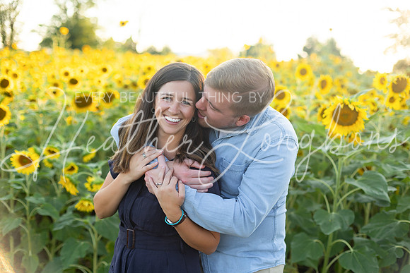 Sunflowers Harris-41