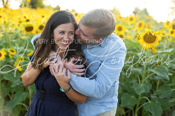 Sunflowers Harris-42