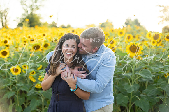 Sunflowers Harris-43