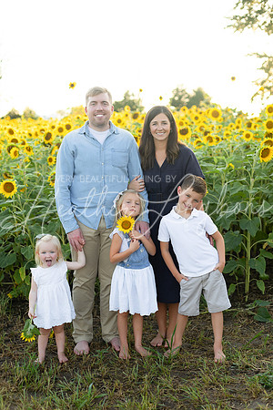 Sunflowers Harris-46