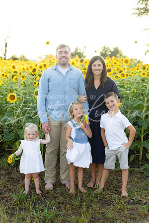 Sunflowers Harris-47