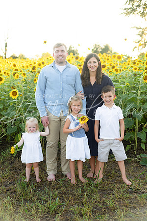 Sunflowers Harris-48