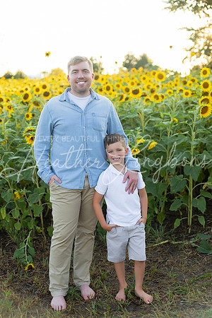 Sunflowers Harris-51