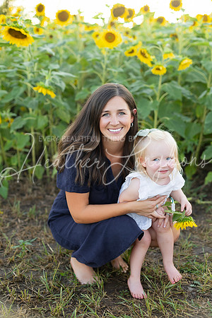Sunflowers Harris-50