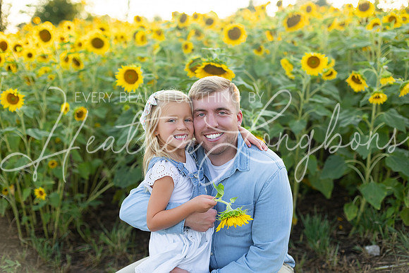 Sunflowers Harris-52