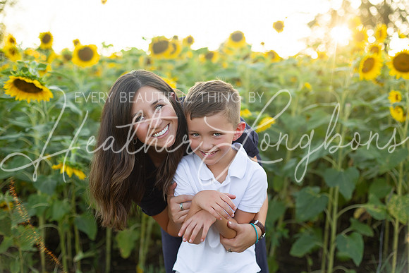 Sunflowers Harris-53