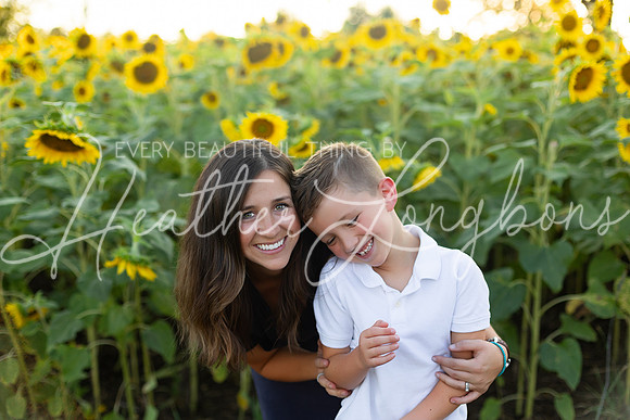 Sunflowers Harris-55