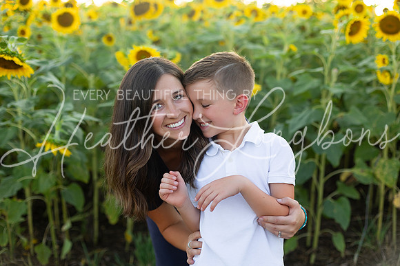 Sunflowers Harris-54