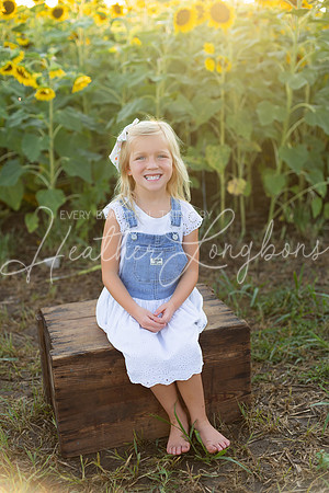 Sunflowers Harris-26