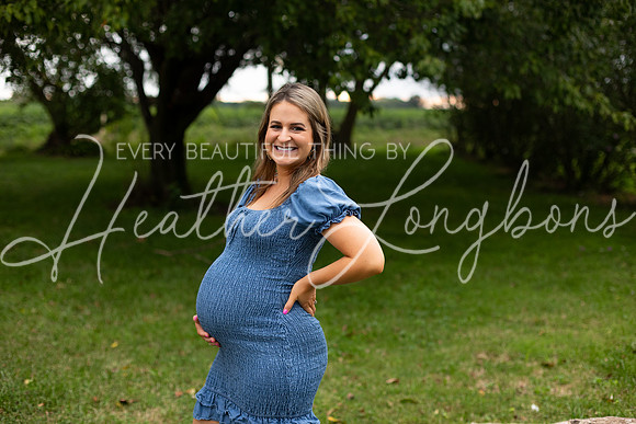 Staples Maternity-18
