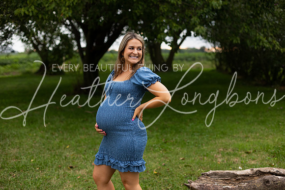 Staples Maternity-19