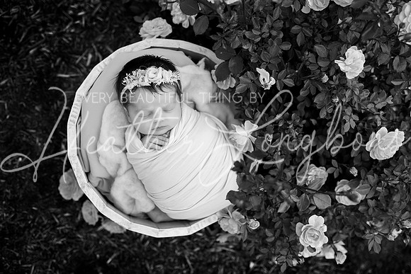 Oaklynn newborn-17BW