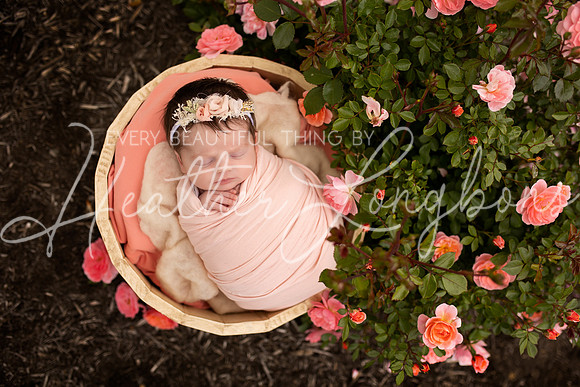 Oaklynn newborn-17