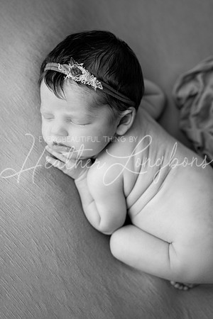 Oaklynn newborn-20BW