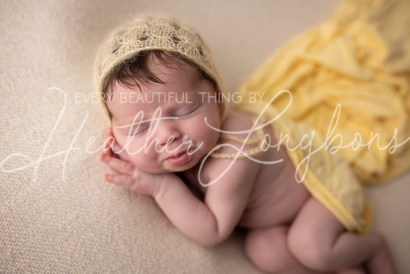 Oaklynn newborn-33