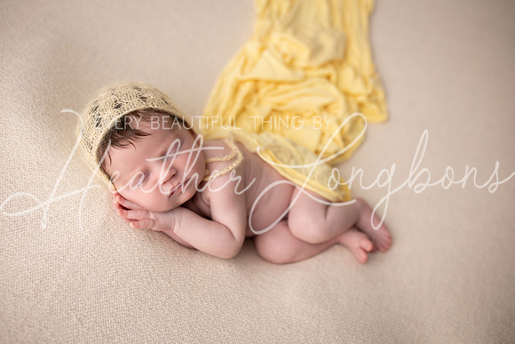 Oaklynn newborn-32