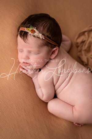 Oaklynn newborn-20