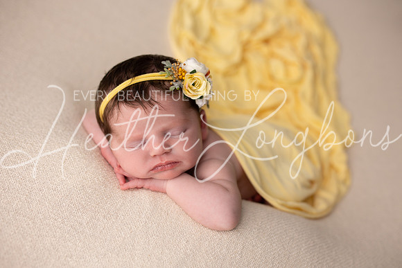 Oaklynn newborn-23