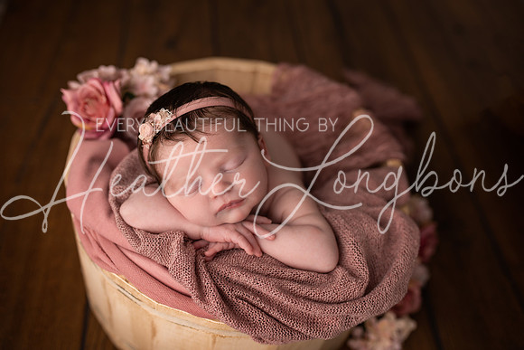 Oaklynn newborn-24