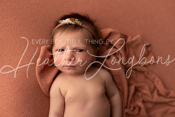 Collins Peavler newborn-1