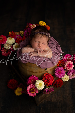 Collins Peavler newborn-6