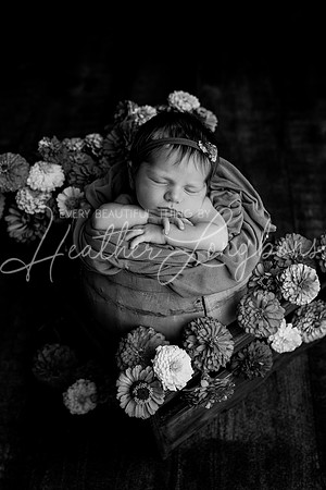 Collins Peavler newborn-6BW