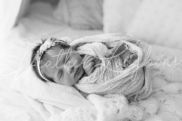 Collins Peavler newborn-11BW