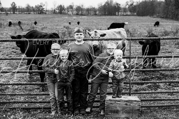 Bell Extended family-14BW