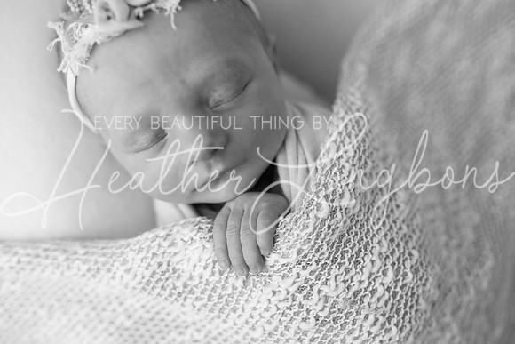 Ainsley newborn-8BW
