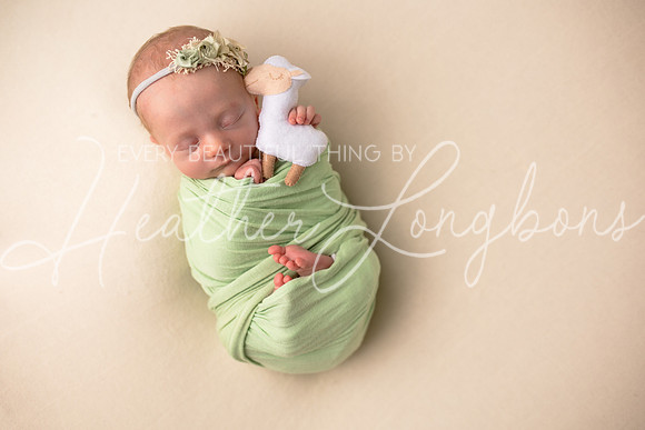 Ainsley newborn-10