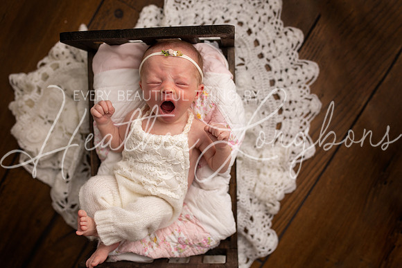 Ainsley newborn-13