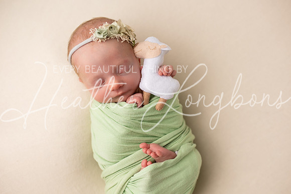 Ainsley newborn-18