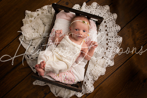 Ainsley newborn-1