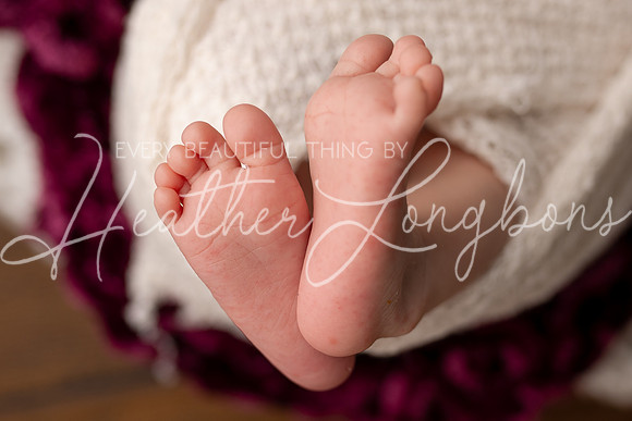 Ainsley newborn-3