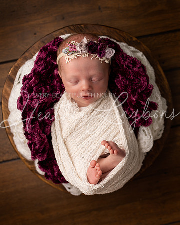 Ainsley newborn-4