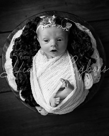 Ainsley newborn-5BW