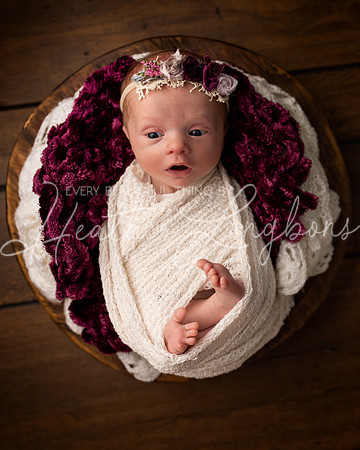 Ainsley newborn-5