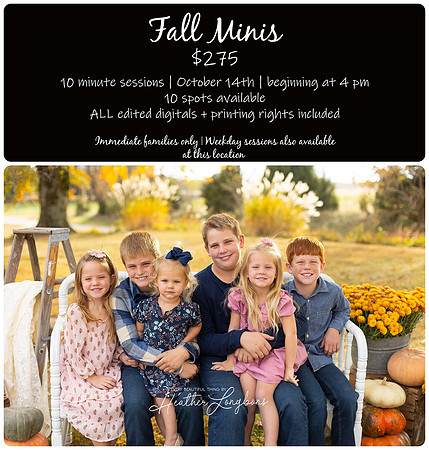 fall minis oct 14 house copy2_stomp
