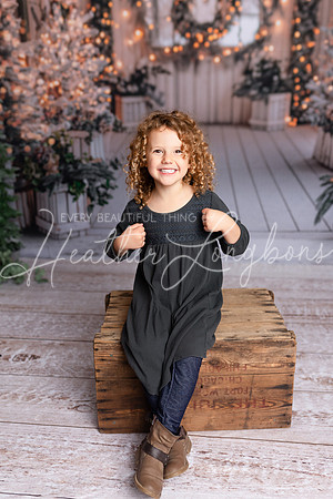 Christmas Roosevelt-4