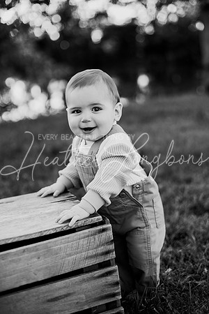 Brooks One Year-83BW