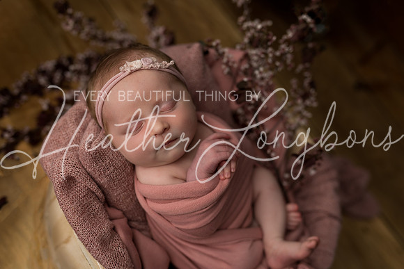 Colbie newborn-22
