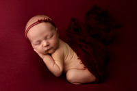 Collins Ward Newborn-11