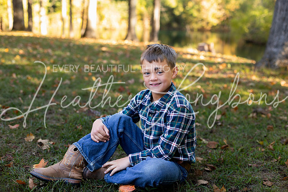 Fall Minis Case-15