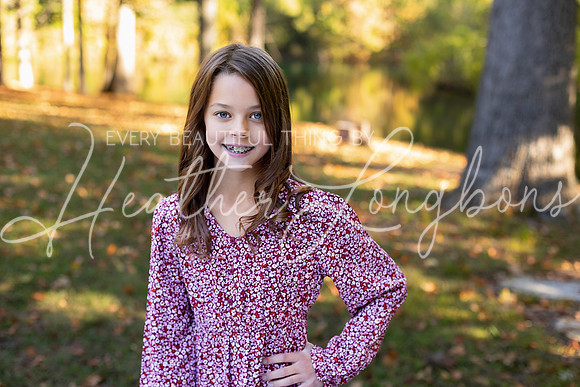 Fall Minis Case-17
