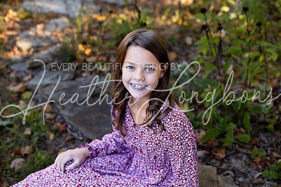 Fall Minis Case-20